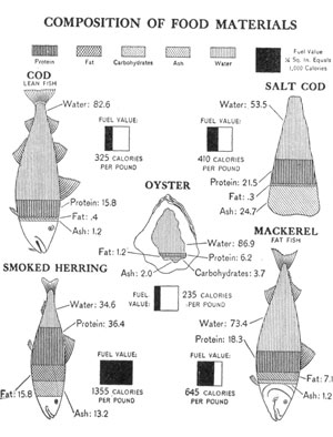[Illustration: Composition of food materials]